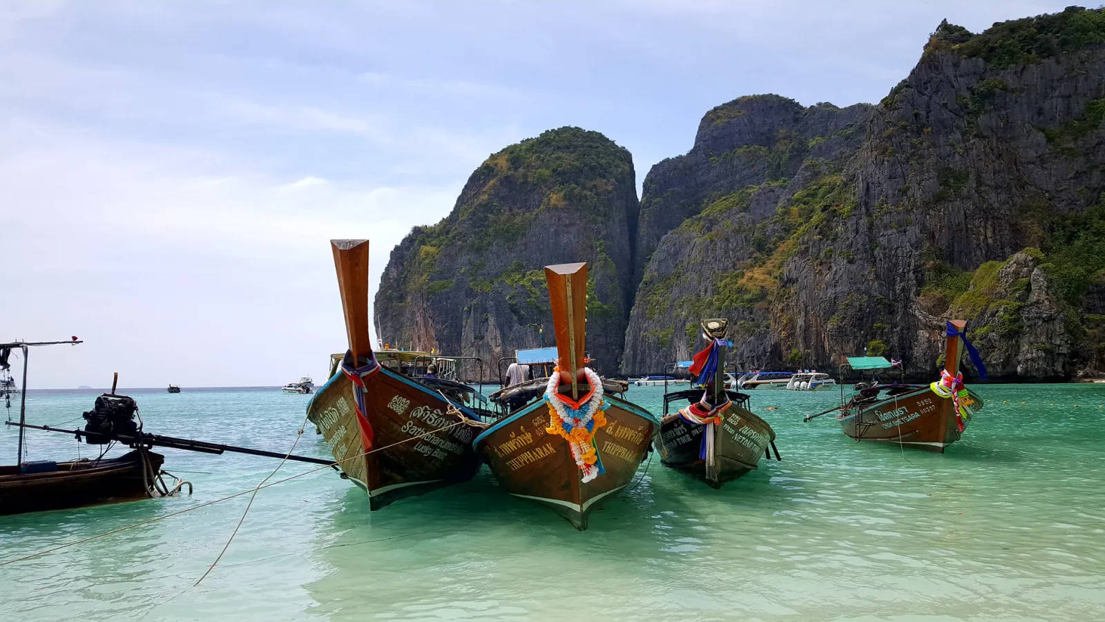 Maya Bay'de demirlemiş geleneksel longtail tekneler